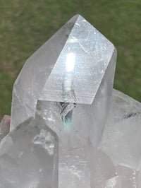 Image 20 of Clear Quartz Points Cluster With Chlorite Inclusions Statement Piece #2543
