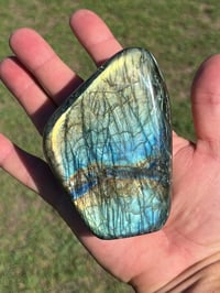 Image 9 of Labradorite Freeform #2564