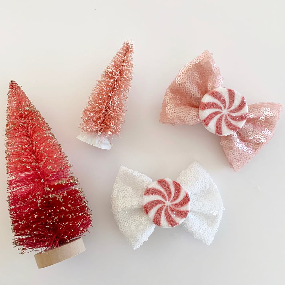Image of Peppermint Swirl Hair Clips 