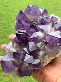 Image 7 of Amethyst Points Cluster | Congo #2868