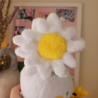 Image 5 of Daisy Korpokkur Plush