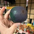 Madballs KO (Demon A) Image 2