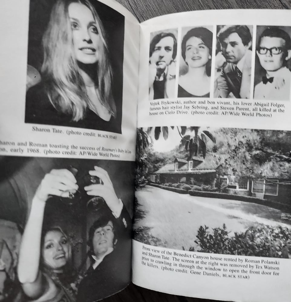 The Family, by Ed Saunders (paperback)