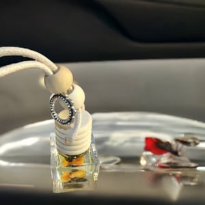 Image of Car Diffusers