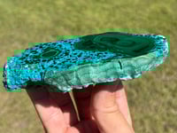 Image 13 of Malachite & Chrysocolla Polished Slab #2305
