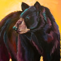 Image 1 of What the Light Carries