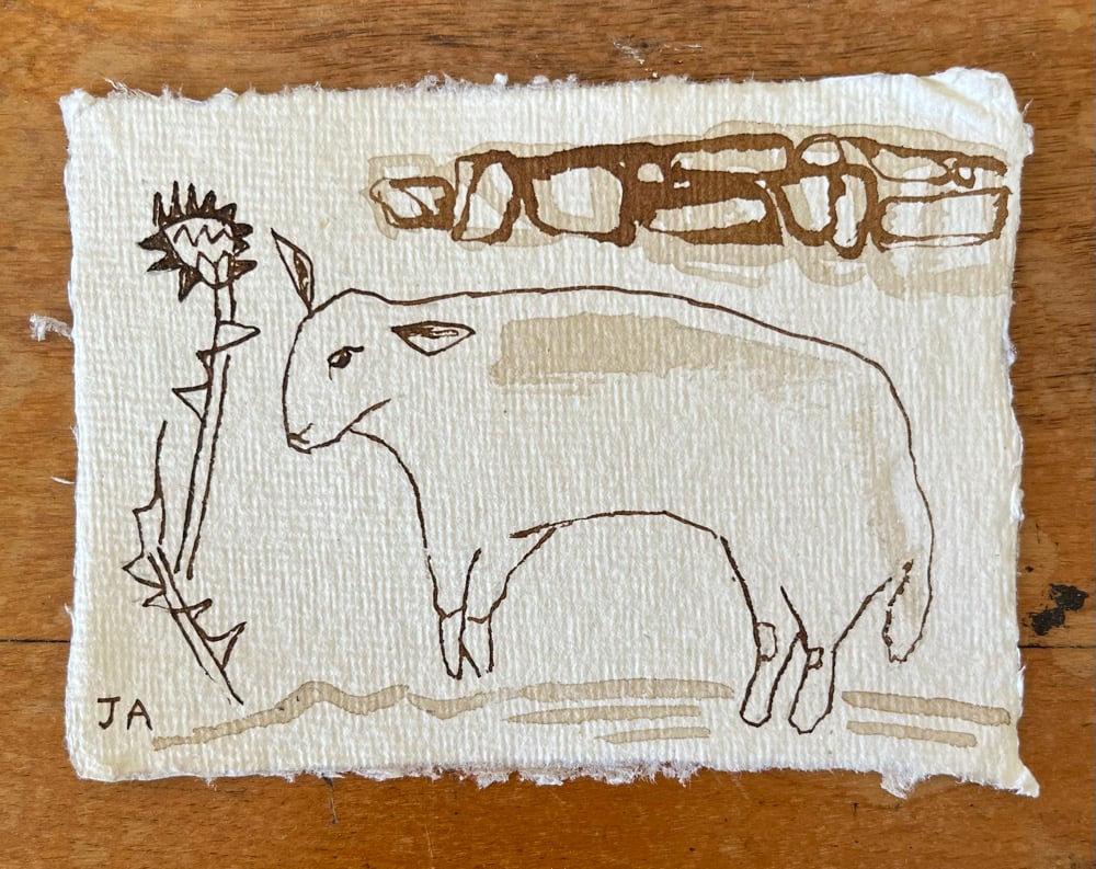 Image of Ewe intimidated by a large thistle. 