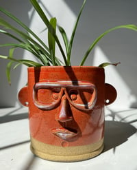 Image 1 of Tommy- Pothead