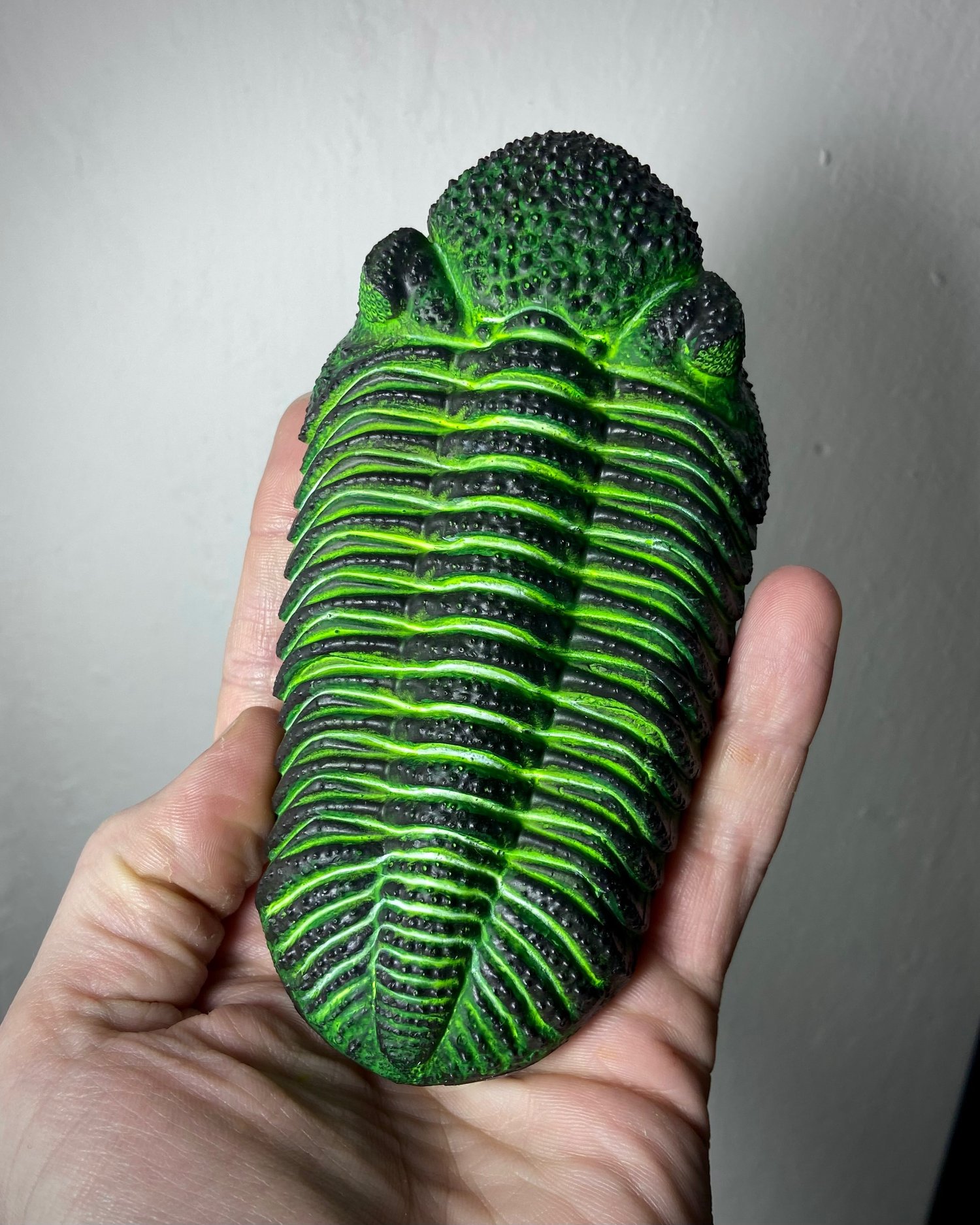 Trilobite 4