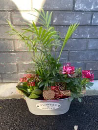 Image 1 of Christmas planter 