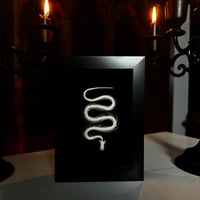 Image 1 of Vermicelli Noodle - Snake Skeleton 