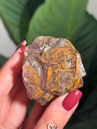 Image 3 of IRON STAINED CUBIC FLUORITE -CHINA- S