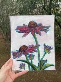 Image 2 of Flower Studies