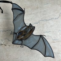 Image 3 of Gray Streaky Flying Bat