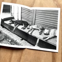 Image 6 of Paul Trevor - Sleeper (Signed)