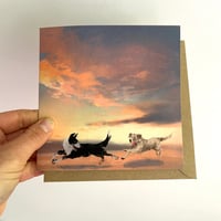 Image 2 of Beach Dogs - Luxury Greetings Card Set