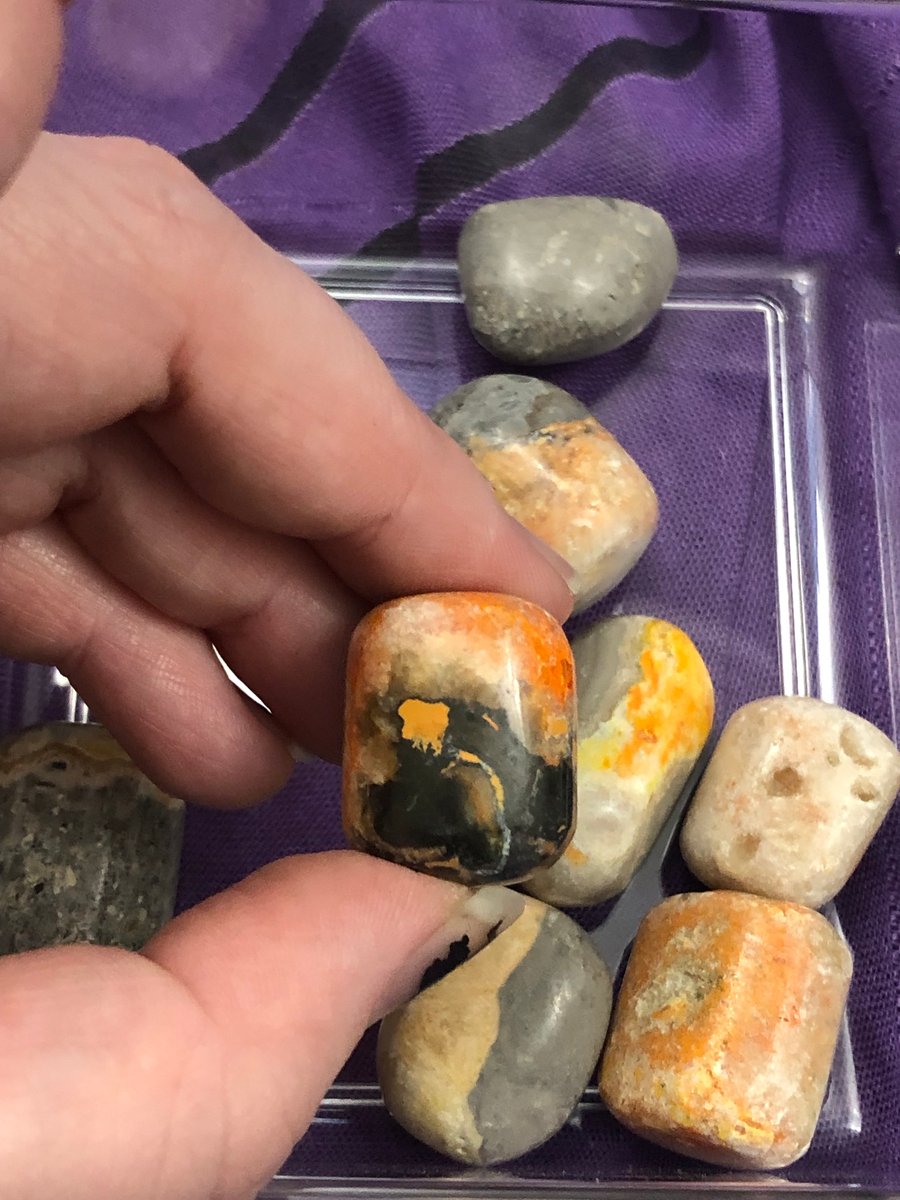 Bumble Bee Jasper Tumble Drusilla's Craft