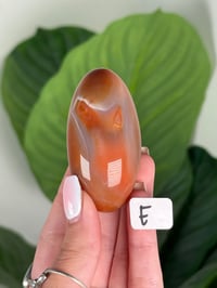 Image 5 of CARNELIAN SHIVAS