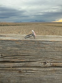 Image 4 of The Prairie Rosette