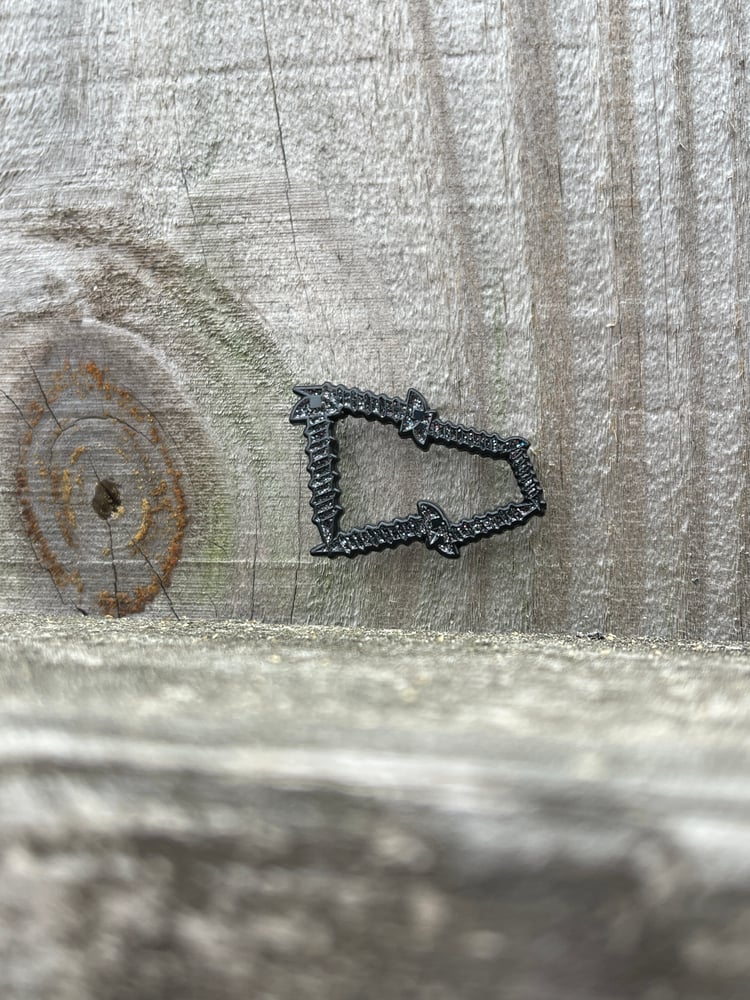 Image of Rodeo night lights SCREWERA pin