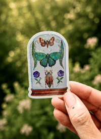 May Dome Holographic Sticker