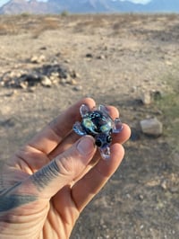 Image 3 of  Ocean turtle