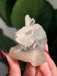 Image 2 of BOWTIE STILBITE X DIAMOND APOPHYLITE -INDIA- K