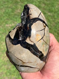 Image 14 of Septarian Nodule Polished Freeform With Calcite Inclusions| Madagascar #2892