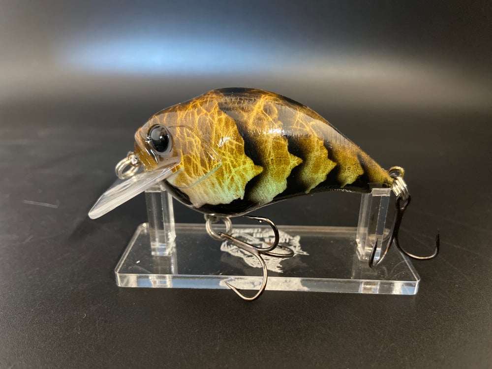 2.5 Widebill Craw