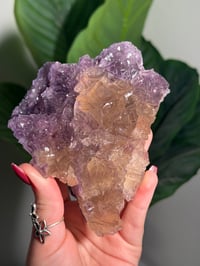 Image 8 of DOUBLE SIDED SUGAR COATED PURPLE FLUORITE -CHINA-