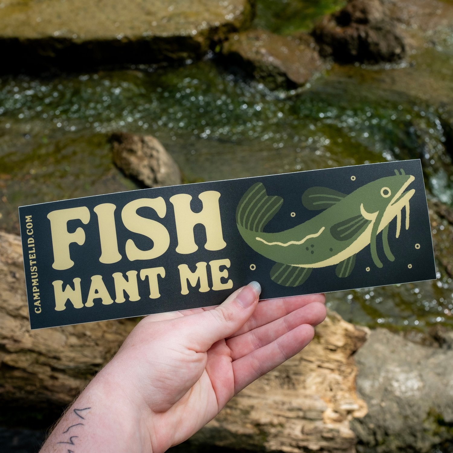 CATFISH "Fish Want Me" Bumper Sticker