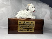 Image 6 of Custom Engraved Maltese Urn Pet Portrait Figurine To Your Dog's Photo