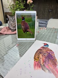 Image 3 of "Pheasant" Original 