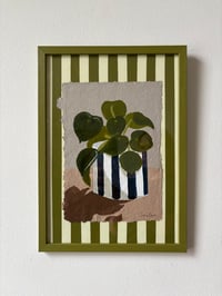 Image 2 of little money plant 