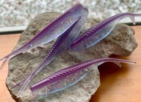 Image 1 of Tracer Shads - "METAL MANIA"