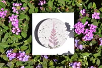 Image 2 of Relaxing Lavender Shower Steamer