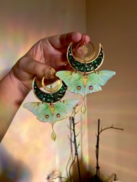 Image 3 of 🌙💚Luna Moths💚🌙