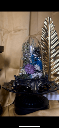 Image 2 of Blue Baby’s Breath