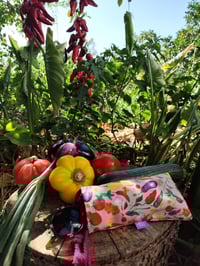 Image 2 of Funda para gafas HUERTA rosa