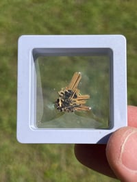 Image 8 of Golden Rutile & Hematite Star Specimen|Brazil #2932