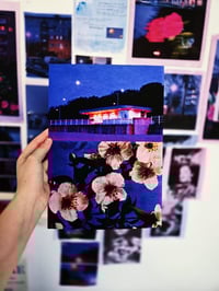 Image 2 of MOCK ORANGE, NIGHT LANDSCAPES