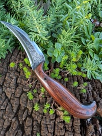 Image 2 of BROWN GEN2 DRAUG