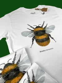 Image 2 of T-shirt BOMBO