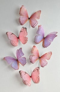 Image 1 of  Luna Moon (set of 6)