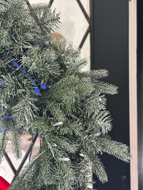 Image of Frosted Wreath