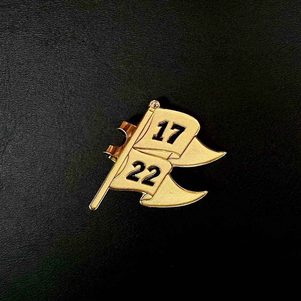 17/22 Pennants blip