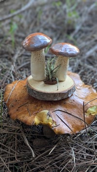 Image 1 of Pungent Slippery Jack sculpture 