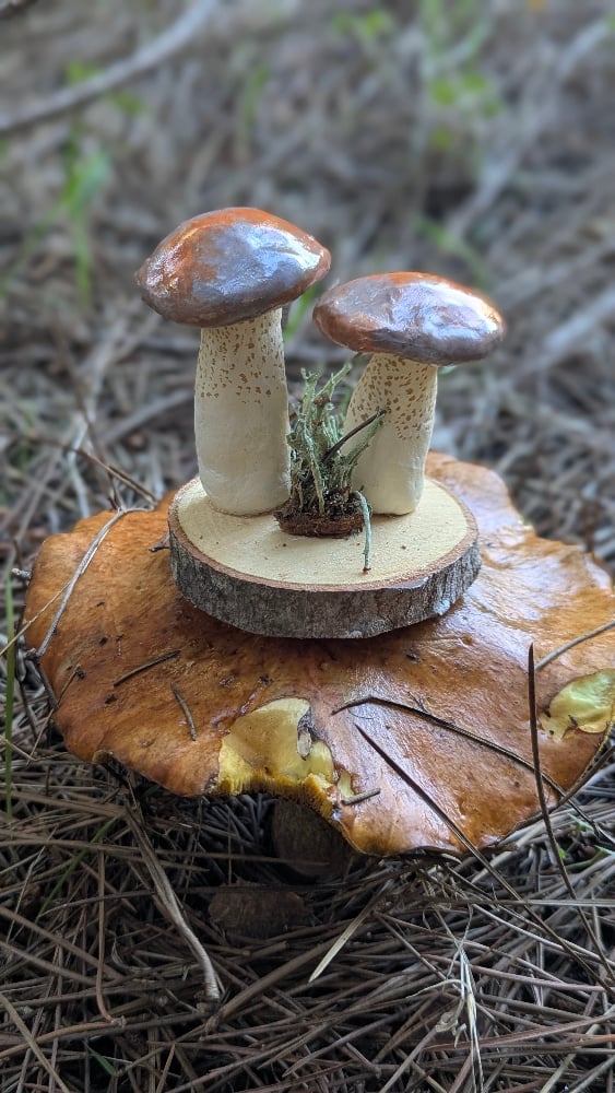 Image of Pungent Slippery Jack sculpture 