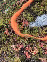 Image 12 of Craft Mentorship Immersion