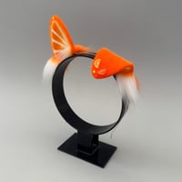 Image 3 of Orange Pup